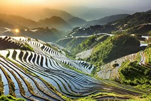 Images Dated 17th May 2016: China, Guangxi Province, Longsheng, Long Ji rice terrace filled with water in the
