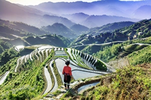 Agricultural Prints: China, Guangxi Province, Longsheng, a woman from a local ethnic minority famous for