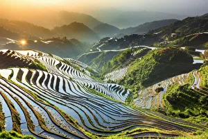 Agricultural Prints: China, Guangxi Province, Longsheng, Long Ji rice terrace filled with water in