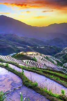 Longji Prints: China, Guangxi Province, Longsheng, Long Ji rice terrace filled with water in