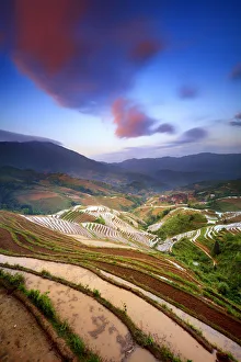 China, Guangxi Province, Longsheng, Long Ji rice terrace filled with water in