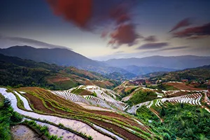 Longji Prints: China, Guangxi Province, Longsheng, Long Ji rice terrace filled with water in