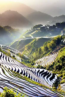 Agricultural Prints: China, Guangxi Province, Longsheng, Long Ji rice terrace filled with water in