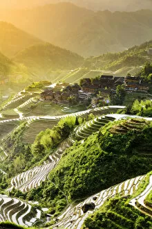 Images Dated 9th March 2017: China, Guangxi Province, Longsheng, Long Ji rice terrace filled with water in the