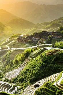 Agricultural Prints: China, Guangxi Province, Longsheng, Long Ji rice terrace filled with water in