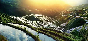 Agricultural Prints: China, Guangxi Province, Longsheng, Long Ji rice terrace filled with water in