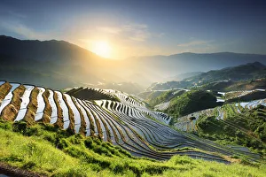 Agricultural Prints: China, Guangxi Province, Longsheng, Long Ji rice terrace filled with water in