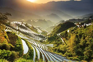 Agricultural Prints: China, Guangxi Province, Longsheng, Long Ji rice terrace filled with water in