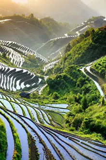 Longji Prints: China, Guangxi Province, Longsheng, Long Ji rice terrace filled with water in