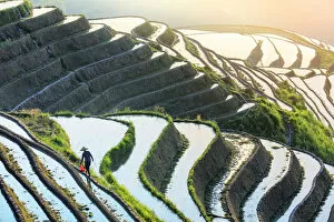 Images Dated 10th March 2017: China, Guangxi Province, Longsheng, Long Ji rice terrace filled with water in the