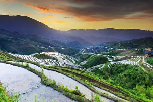 Longji Prints: China, Guangxi Province, Longsheng, Long Ji rice terrace filled with water in