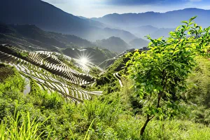 Longji Prints: China, Guangxi Province, Longsheng, Long Ji rice terrace filled with water in