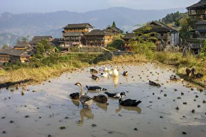 Images Dated 6th September 2021: China, Guangxi Provincei, Umgebung Guilin, Longshen