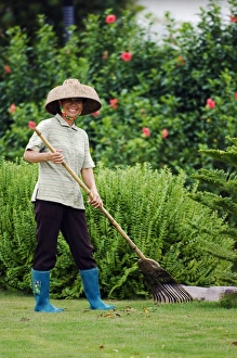 Shrubs Prints: China, Hainan Province, Hainan Island, Sanya City