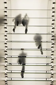 Inside Prints: China, Hong Kong, Causeway Bay, Apple Store, Customers on Glass Staircase