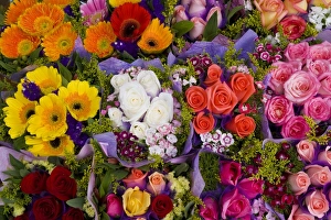 Flower Market Gallery: China, Hong Kong, Kowloon, flower market