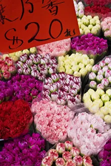 Images Dated 9th April 2008: China, Hong Kong, Kowloon, flower market