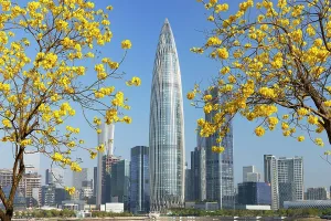 Business District Prints: China Resources Building and skyline from Talent Park