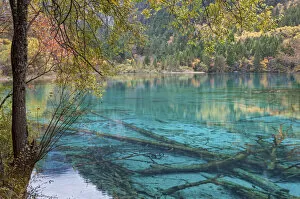 Images Dated 6th September 2021: China, Sichuan Province, UNESCO World Heritage Site, Jiuzhaigou National park