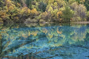 Images Dated 6th September 2021: China, Sichuan Province, UNESCO World Heritage Site, Jiuzhaigou National park