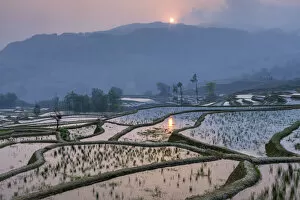 Images Dated 6th September 2021: China, Yuanyang, Rice Terraces, Yunnan Province