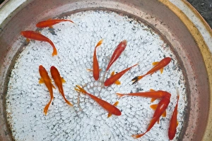 China, Yunnan Province
