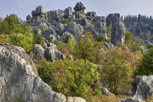 Images Dated 6th September 2021: China, Yunnan Province, Shilin Stone Forest