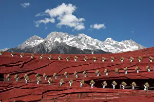 Dancers Prints: China Zhonghua, Yunnan, Lijiang; Jade Dragon snow mountains