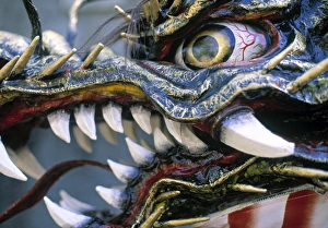 Teeth Prints: Chinese Dragon