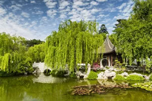 Images Dated 17th April 2018: Chinese Garden Pond, Huntington Botanical Gardens, San Marino, California, USA