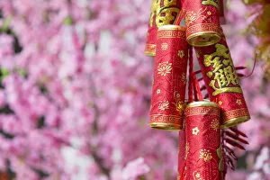 Images Dated 14th February 2017: Chinese New Year decorations and plum blossom, Hong Kong