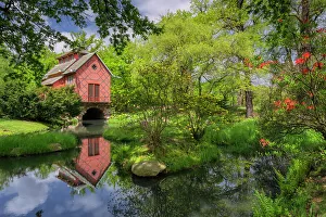 East Germany Prints: Chinese tea house in the park of Oranienbaum Castle
