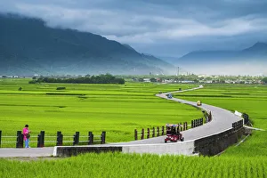 Chishang Rice Fields, Taiwan