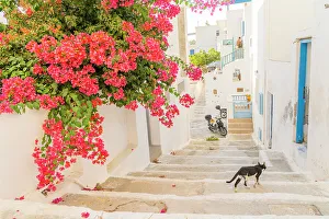 Q2 2023 Collection: Chora, Astypalaia, Dodecanese, Greek Islands, Greece