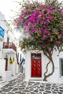 Chora (Mykonos Town), Mykonos, Cyclades Islands, Greece