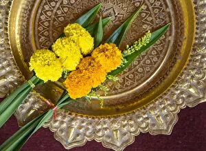 Images Dated 12th February 2014: Chrysanthemum flowers on a dish at Wat Khunaram, Koh Samui, Thailand