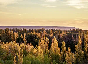 Welsh Settlement Prints: Chubut Valley at sunset, elevated view, Gaiman, The Welsh Settlement, Chubut Province