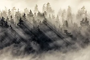Southern Alaska Prints: Chugach national forest, Kenai Peninsula, Alaska, United states of America