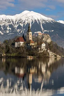 Images Dated 10th January 2018: Church of the Assumption of Mary, Lake Bled, Upper Carniola, Slovenia