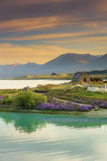Lakeside Prints: The Church of the Good Shepherd and Tekapo lake with lupins in bloom by the lake