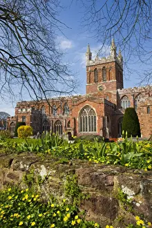 Holy Cross Prints: Church of the Holy Cross, the parish church of Crediton in early Spring, Devon, England