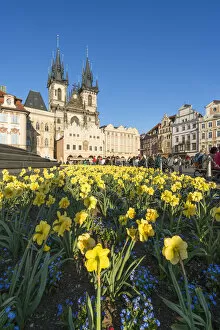 Images Dated 18th June 2020: Church of our lady before Tyn and flowers at Jan Hus Memorial, Old Town Square, Prague