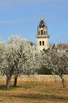Images Dated 3rd January 2012: Church nearby Santa Maria del Cami, Cala Sa'Amonia, Majorca, Balearics, Spain