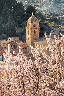 South Prints: Church in the old town of Bunyola with blooming almond tree