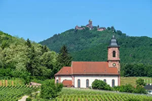 Images Dated 30th November 2022: Church of Orschwiller with Chateau du Haut-K'nigsbourg, Bas-Rhin, Alsace