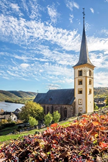 Bremm Prints: Church of St. Laurentius in Bremm on the Mosel, Mosel, Rhineland-Palatinate, Germany