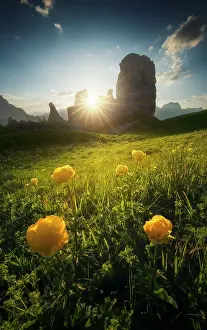 Passo Falzarego Prints: The Cinque Torri in the Ampezzo Dolomites with globeflowers in the foreground Dolomites