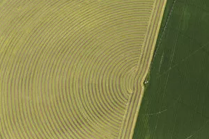 Images Dated 14th October 2013: Circular pattern of crops from the air, Montana, USA