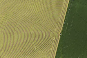 Images Dated 14th October 2013: Circular pattern of crops from the air, Montana, USA