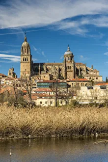 City skyline with the Cathedral, Salamanca, Castile and Leon, Spain